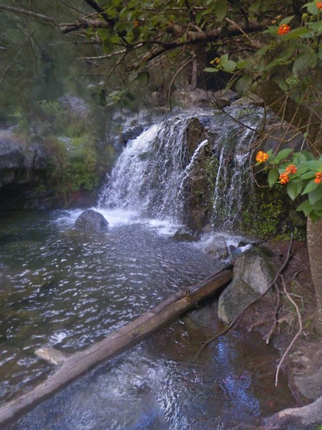 Canyon Bras Rouge la Réunion