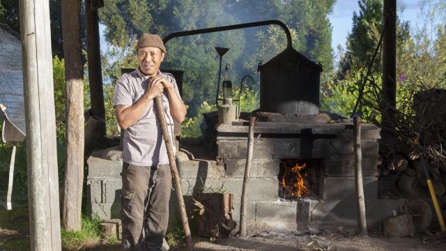 Ambiance25 Credit Irt Stephane Benard Dts 12 2015.jpg