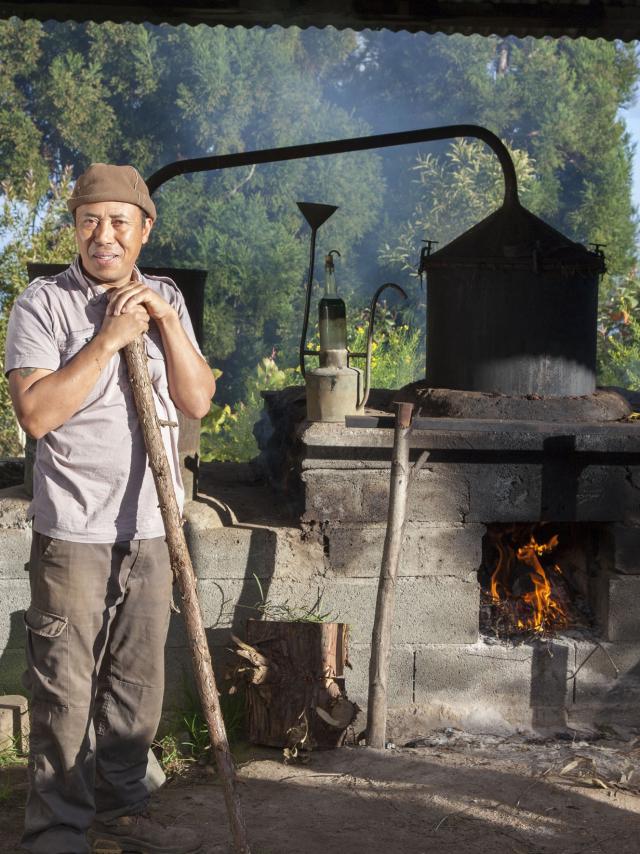 Ambiance25 Credit Irt Stephane Benard Dts 12 2015.jpg