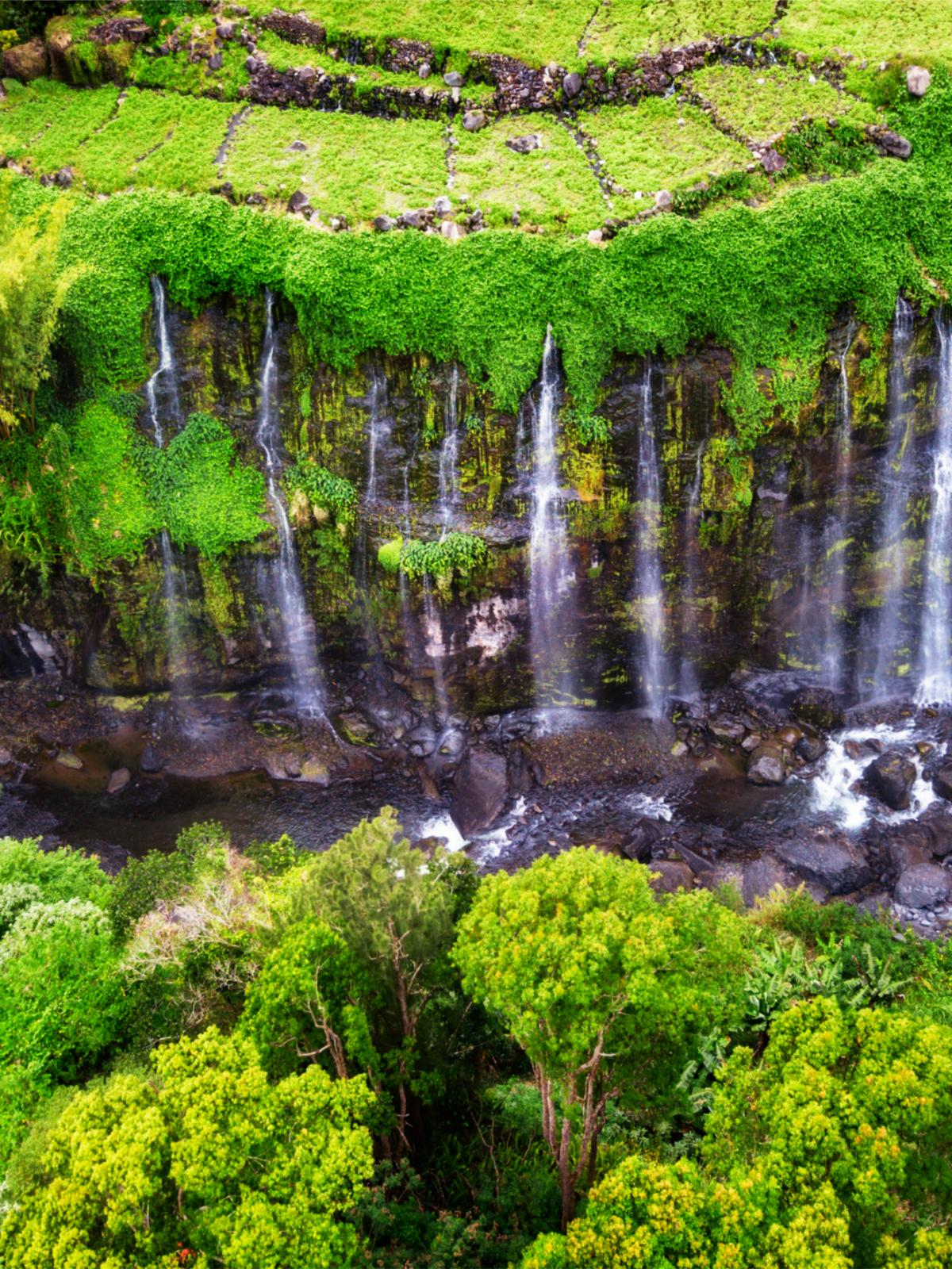 Die schönsten Märkte der Insel | Île de la Réunion Tourisme