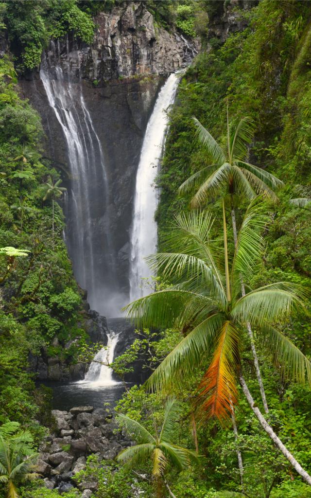 Bassin cascade Takamaka37