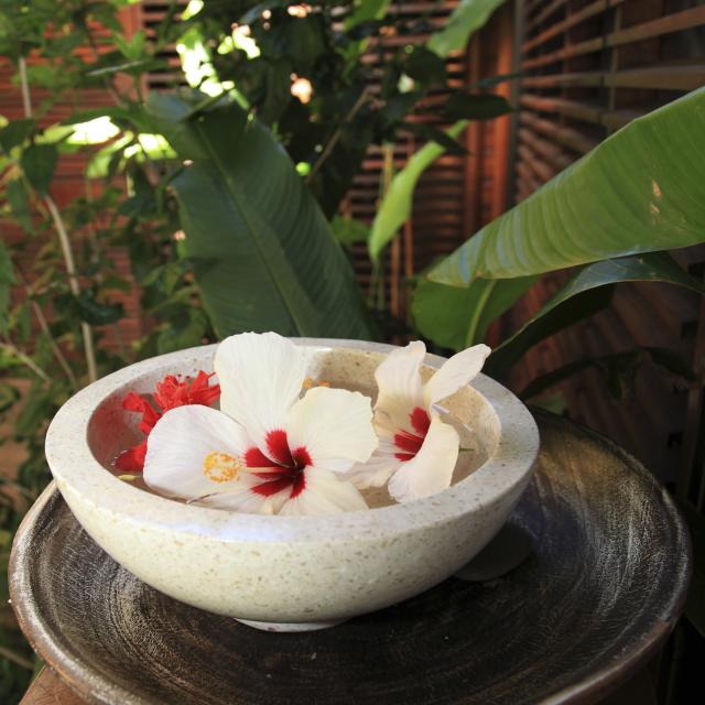 bien être à la réunion