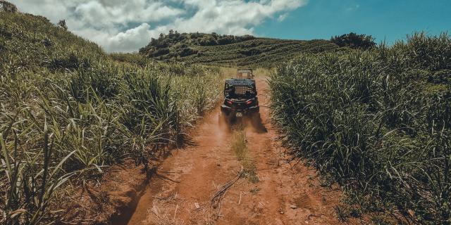 Des hauts vers le littoral du Sud en Buggy