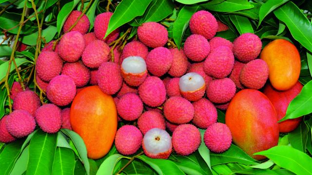 fruits32_letchis_-_credit_irt_-_serge_gelabert_dts_12_2018.jpg