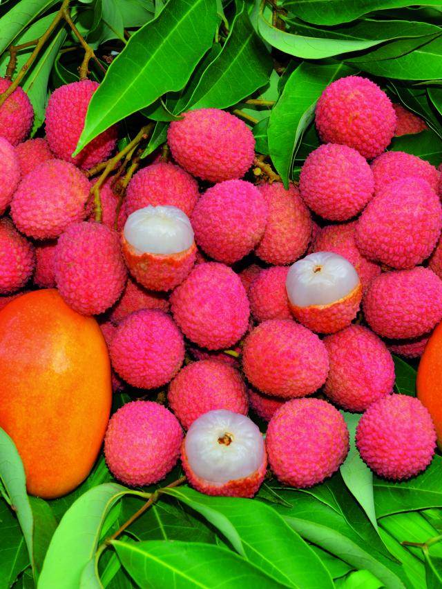fruits32_letchis_-_credit_irt_-_serge_gelabert_dts_12_2018.jpg