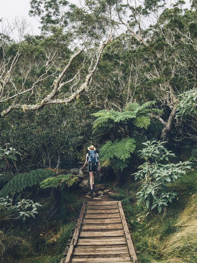 Randonnées à La Réunion