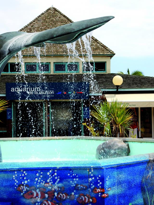 Aquarium de Saint-Gilles