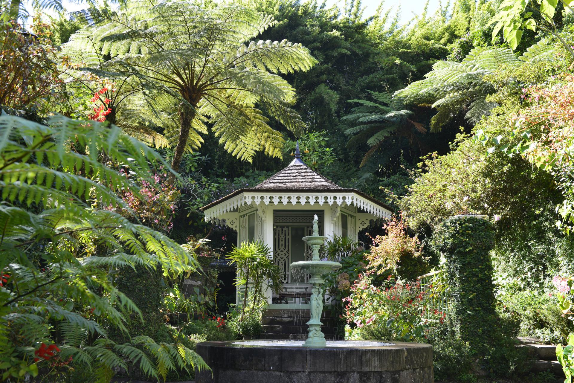 Les jardins botaniques La Réunion