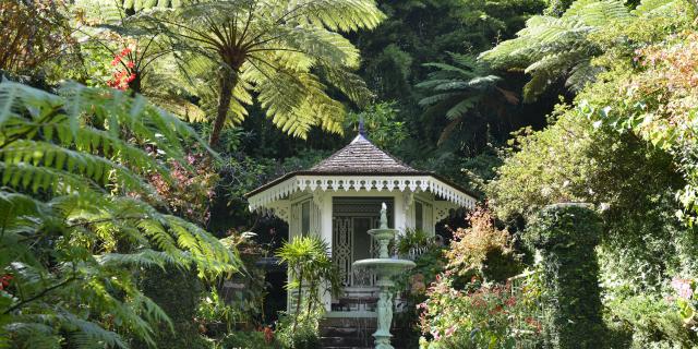 Les jardins botaniques La Réunion