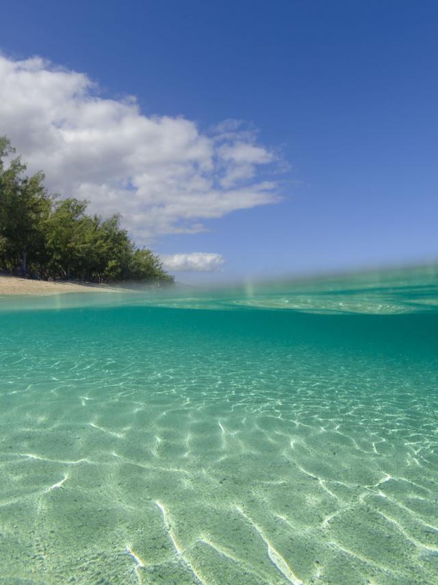 plage_lagon123_ermitage_-_credit_irt_-_stephane_godin_dts_06_2018.jpg