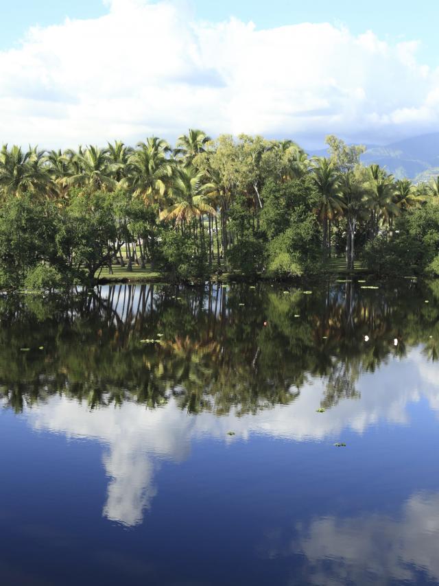 Étang de Saint-Paul, La Réunion
