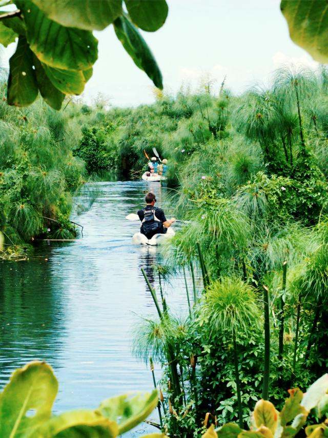 Etang Saint-Paul Kayak