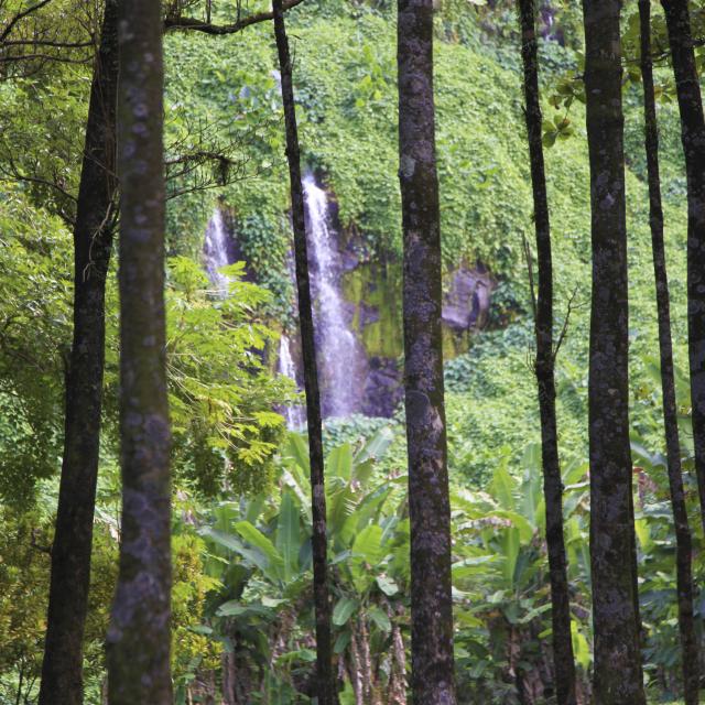 Sainte Rose01 Anse Des Cascades Credit Irt Emmanuel Virin.jpg