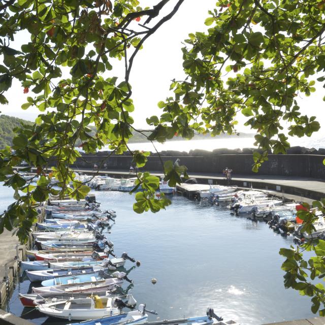 Sainte Rose20 Pont Credit Irt Evelyne Coustillat.jpg