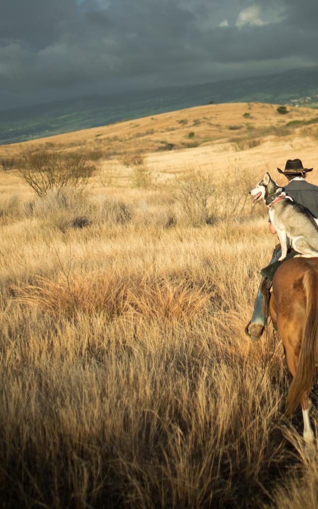 Expérience La savane à cheval: Manou et son chien Peluche , sur un cheval, en pleine savane