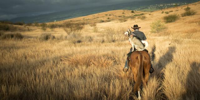 Expérience La savane à cheval: Manou et son chien Peluche , sur un cheval, en pleine savane