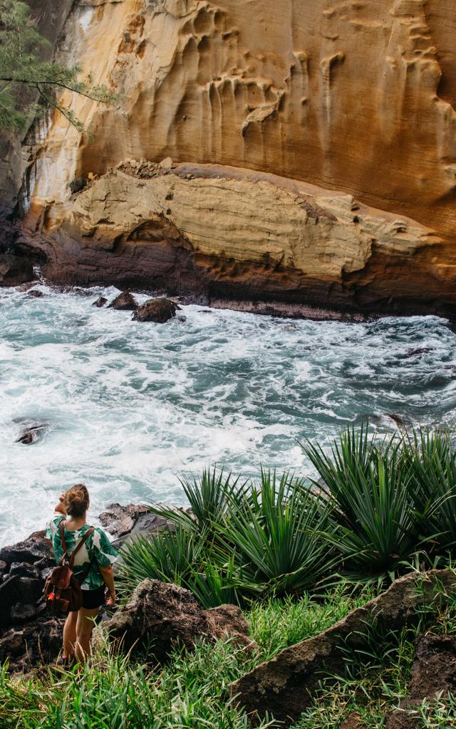 Le Cap jaune dans le Sud Sauvage