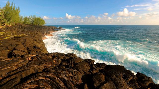 Océan sauvage, La Réunion