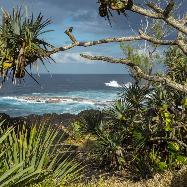 photos spectaculaires de La Réunion