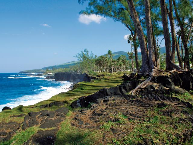 Sudsauvage05 Creditirt Sergegelabertdts122014.jpg