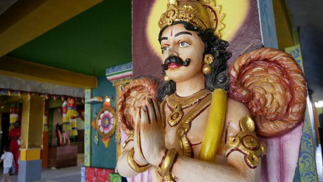 Expérience Visite d'un temple hindou: plongez dans la culture indienne grâce à une visite guidée immersive dans le temple Maryen Péroumal