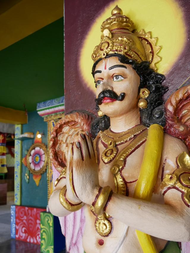 Expérience Visite d'un temple hindou: plongez dans la culture indienne grâce à une visite guidée immersive dans le temple Maryen Péroumal