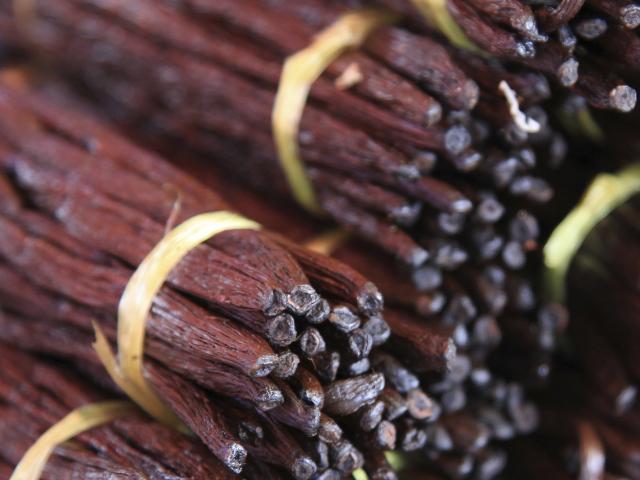the-bourbon-vanilla-of-reunion-island