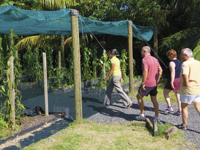 Vanilleraie de Sainte-Suzanne