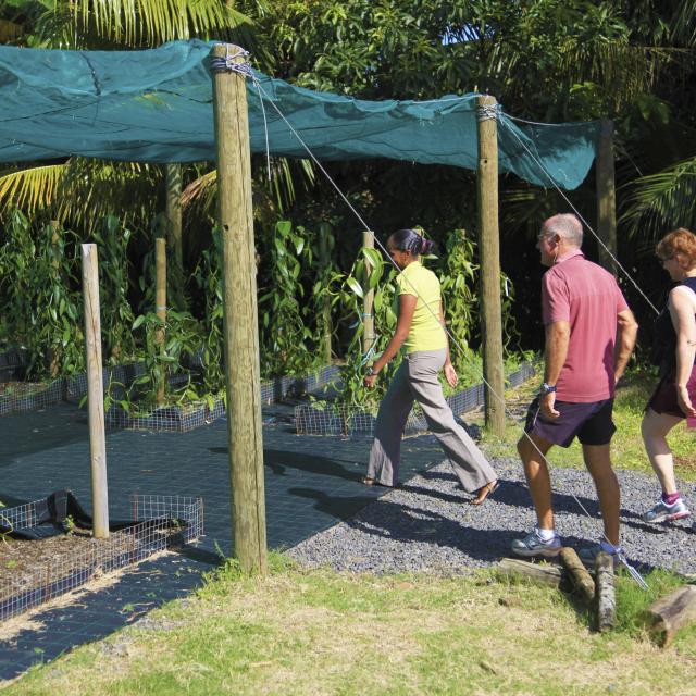 Vanilleraie de Sainte-Suzanne