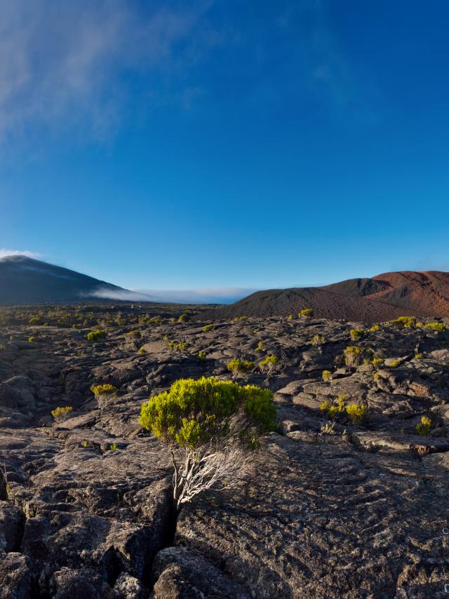 Historique cam Piton de La Fournaise Île de la Réunion Tourisme