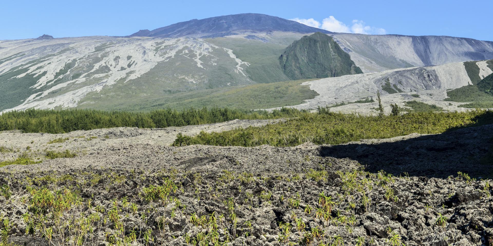 Route des Laves Île de la Réunion Tourisme