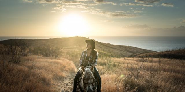 Expérience La savane à cheval: un voyageur, à cheval, dans la savane de la côte ouest de La Réunion.