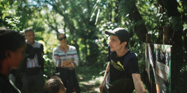 Expérience La véritable vanille Bourbon: immersion dans la culture de la vanille planté sous bois , dans les Haust de Sainte- Rose