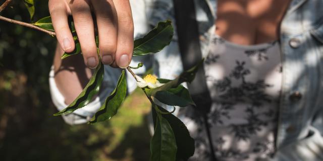 Simpleslider1510728102 1.jpg