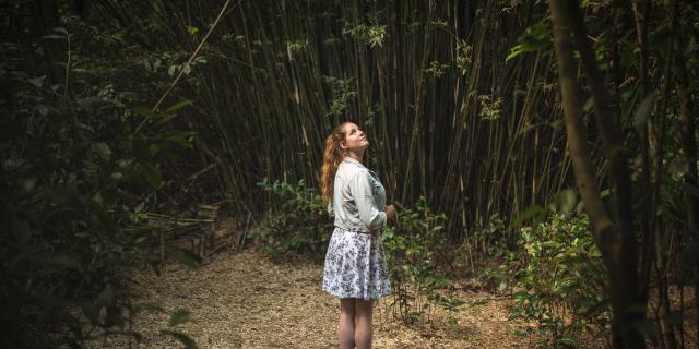 Simpleslider1510728102 3.jpg