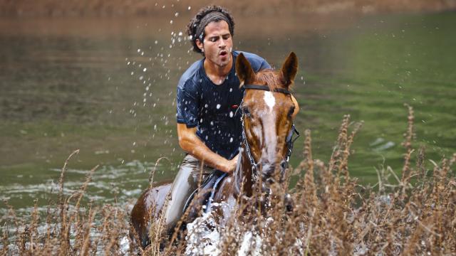 Equitation
