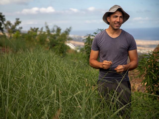 Johan Morel Fontaine Aromatique Du Jardin A L Alambic