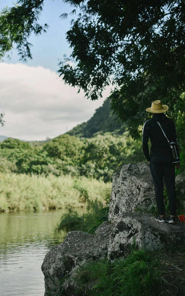 Expérience Balade en bord de rivière et apéro fruité à Ilet Béthléem: une journée immersive sur un site chargé d'histoire. Visite labellisée Esprit Parc.