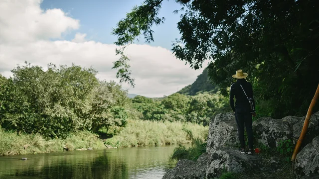 Expérience Balade en bord de rivière et apéro fruité à Ilet Béthléem: une journée immersive sur un site chargé d'histoire. Visite labellisée Esprit Parc.
