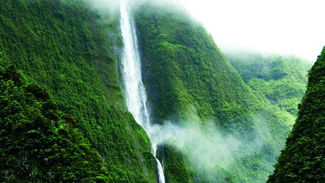 Cascade Blanche Salazie