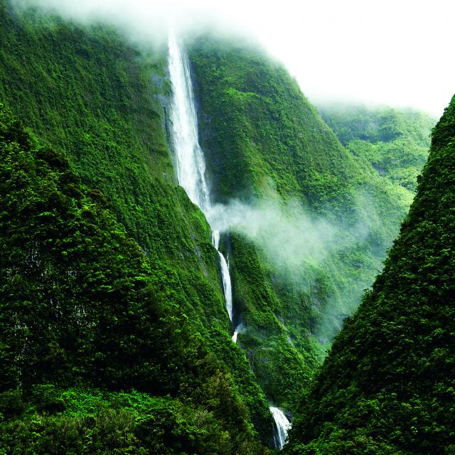 Cascade Blanche Salazie