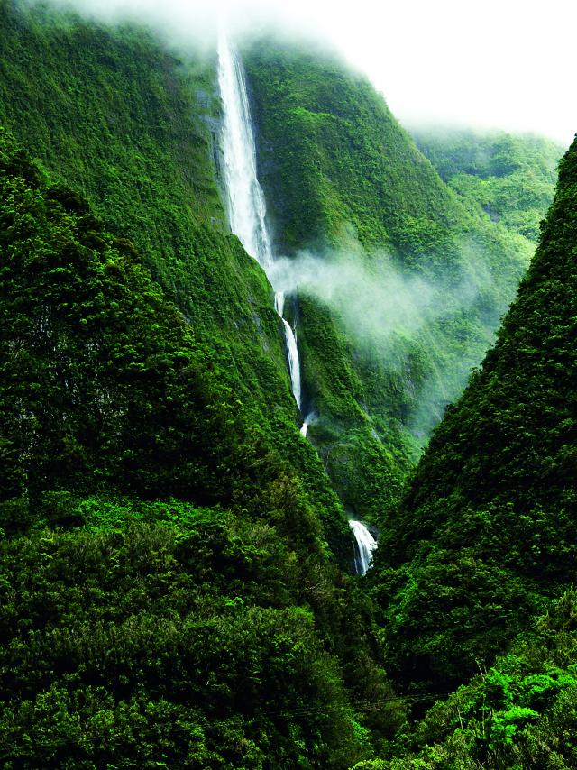 Cascade Blanche Salazie