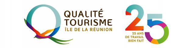 Logo QTIR 25ans