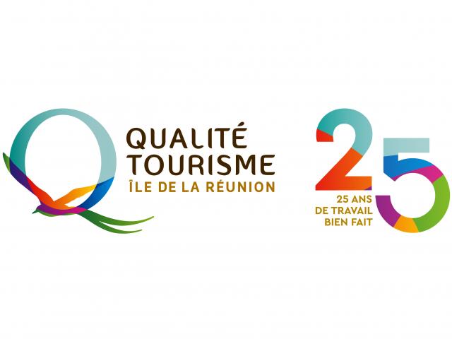 Logo QTIR 25ans