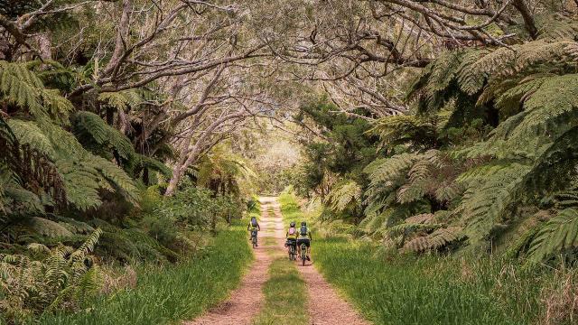 Rallye Patrimoine En Vvt Electrique Belouve Credits Irt@travels Gallery Dec 2031 (18)