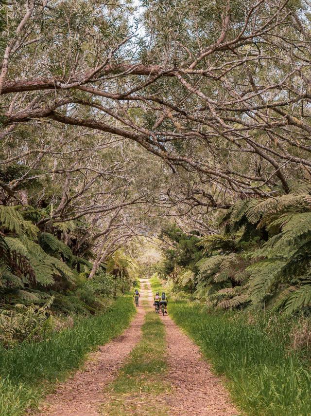Rallye Patrimoine En Vvt Electrique Belouve Credits Irt@travels Gallery Dec 2031 (18)