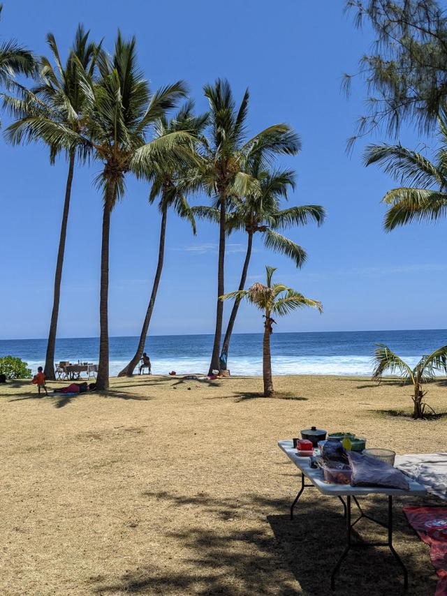 Pique Nique sur la plage de Grande Anse à La Réunion