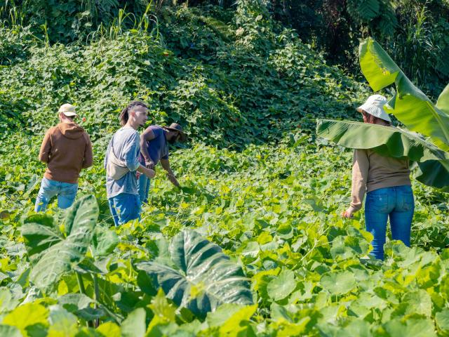 Une Journee Dans Les Bottes d'une famille d'agriculteurs