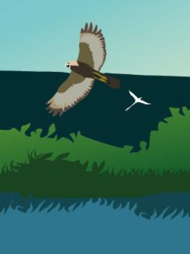 Les Rendez Vous Nature 2023