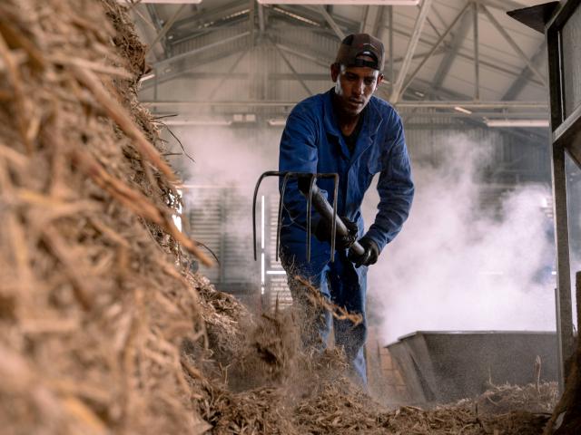 Le Secret Du Galabe Pei Irt@la Petite Creole Dt 122033 12 Bd